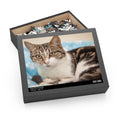 Mischievous, Intelligent Cat - Jigsaw Puzzle