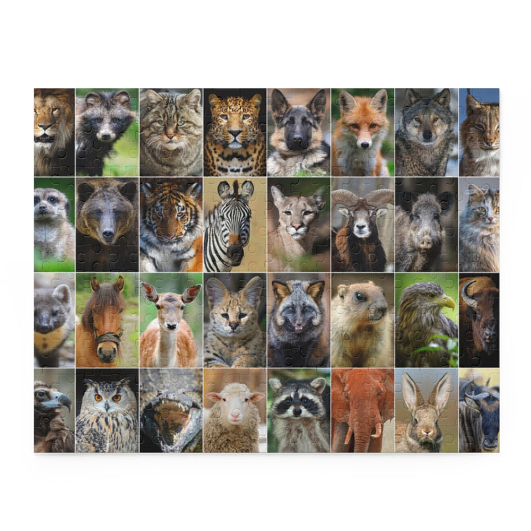 Collage - animals and birds - Jigsaw Puzzle