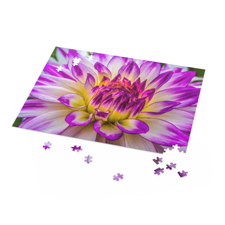 Blue Purple White Dinnerplate - Dahlia Blooming Macro - Jigsaw Puzzle