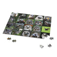 Birds of prey - Collage - Jigsaw Puzzle