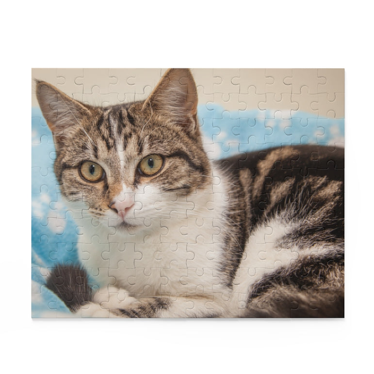 Mischievous, Intelligent Cat - Jigsaw Puzzle