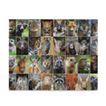 Collage - animals and birds - Jigsaw Puzzle