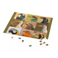 Different birds in freedom - Jigsaw Puzzle