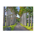 Palm Tree at Lion Castle in St Thomas Barbados - Jigsaw Puzzle