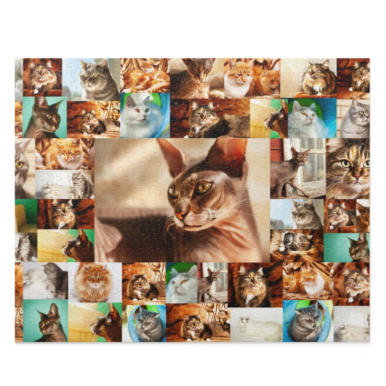 Cats - Collage - Center is Sphynx cat - Jigsaw Puzzle