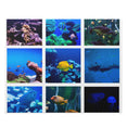 Underwater Collage - tropical fishes - Jigsaw Puzzle