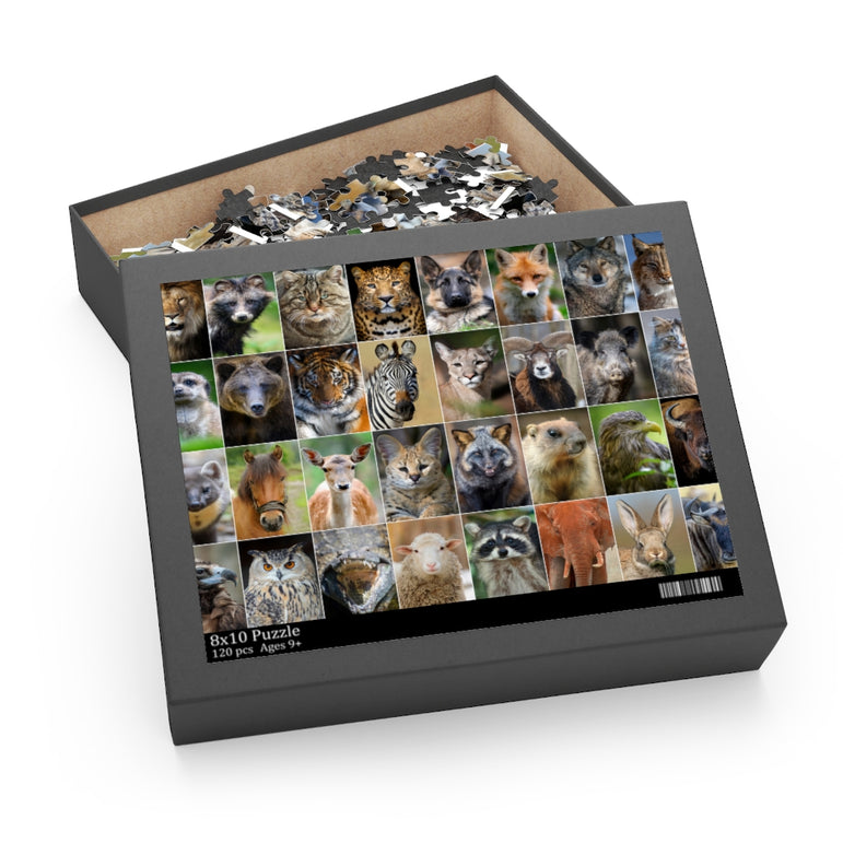 Collage - animals and birds - Jigsaw Puzzle