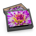 Blue Purple White Dinnerplate - Dahlia Blooming Macro - Jigsaw Puzzle